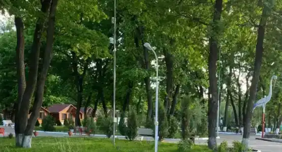 Березка - 1