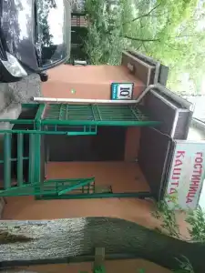 Каштан - 5