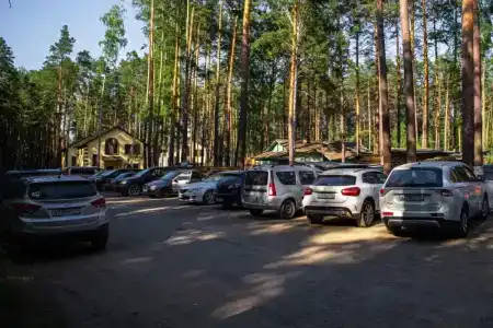 Успех - 7