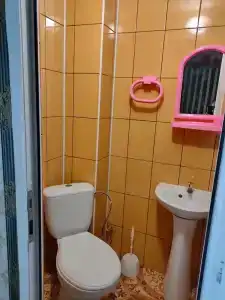 у Лены - 6