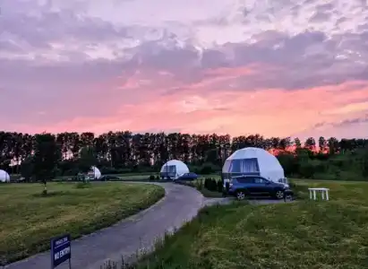 Ферма-Цыпа's - 90