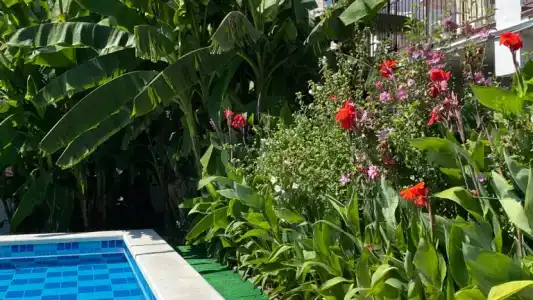 Фламинго - 44