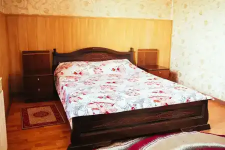 Черепаха - 20