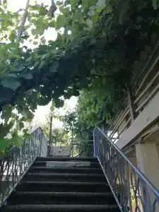 База отдыха у источника - 6
