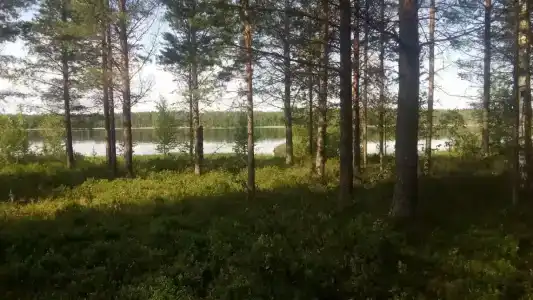 Куйтто - 5