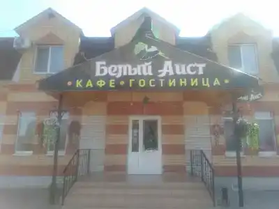 Белый аист - 0