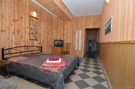 со слоном - 96