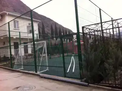 Олива - 7