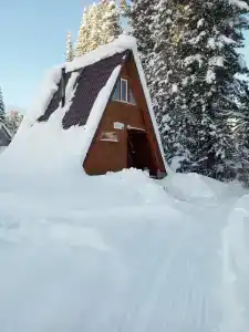 Эдельвейс - 8