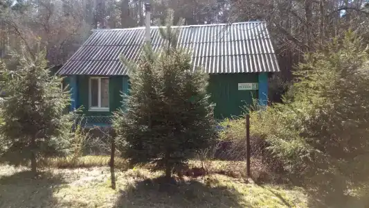 Озеро Белое - 12