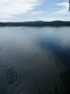 Линевский берег - 93