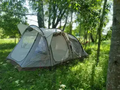 Кемпинг в Петрищево - 3