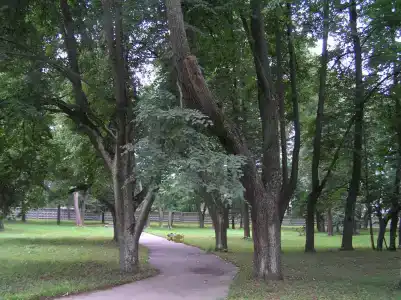Вольгинский - 6