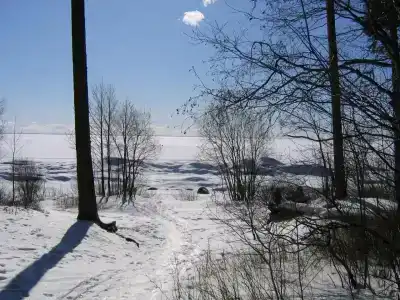 Звездочка - 1