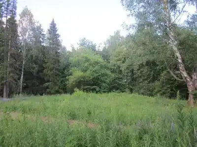 Буз Ур Рдс Юськи - 0