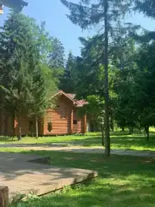 Лесной Дом - 16