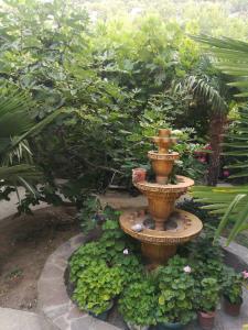 Green Garden - 15