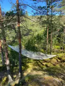 Карелия Парк - 67