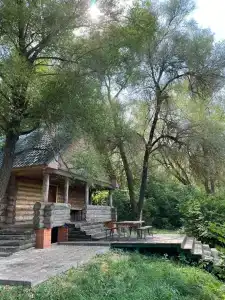 Сосенка - 0