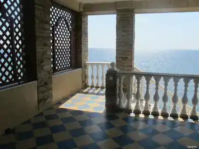 Тарпанчи - 18