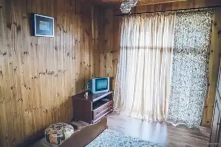 со слоном - 87