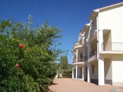 Фламинго - 8