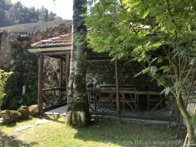 Eco Garden - 35