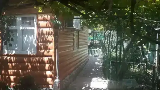У Ирины - 3
