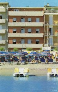 Cavalluccio Marino - 18