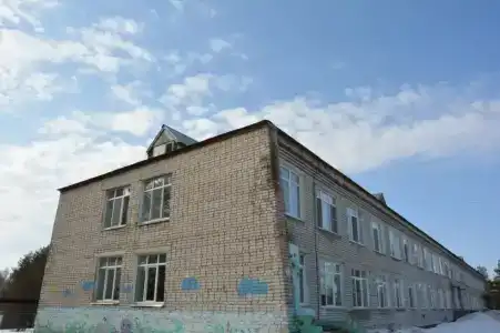 Берёзка - 11