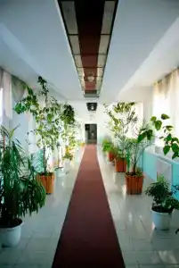 Истоки - 12