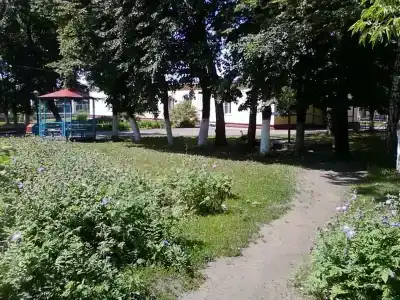 Ласточка - 1