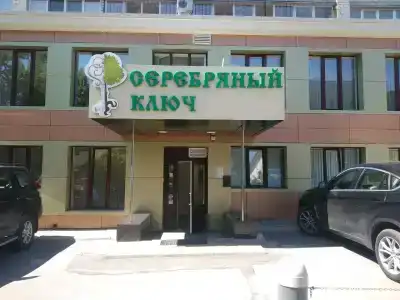 Серебряный ключ - 7