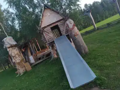 Живица - 45