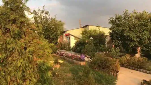 Ивушка - 50