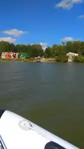 Лесные эльфы - 20
