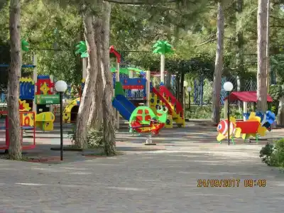 Буревестник - 42