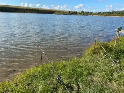 Сабурово - 40