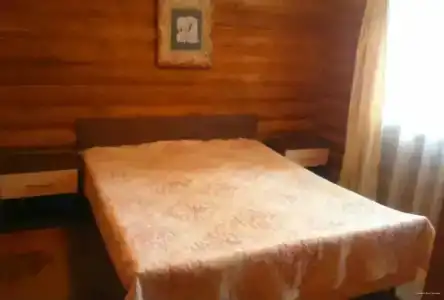 Светлана - 37