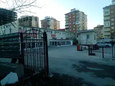 Оазис - 1