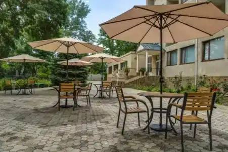 Мечта Тея - 51