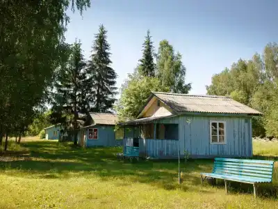 Берёзка - 44