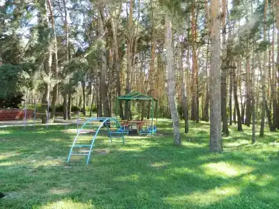ОГБУЗ Санаторий для детей с родителями - 2