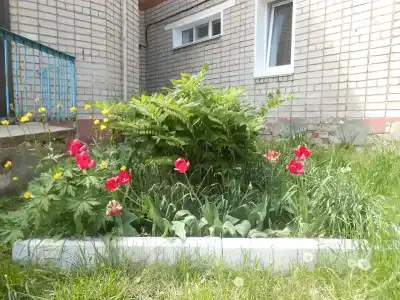 Солнечный - 4