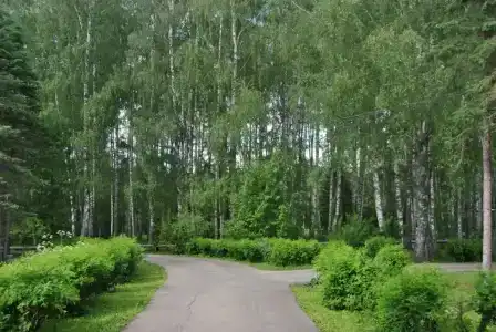 Федосьино - 15