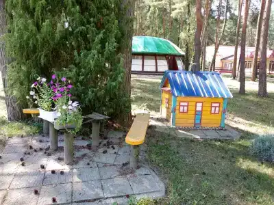 Надзея - 61
