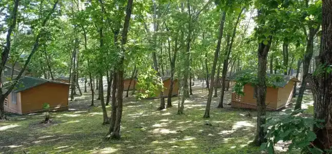 Гринвилль - 0