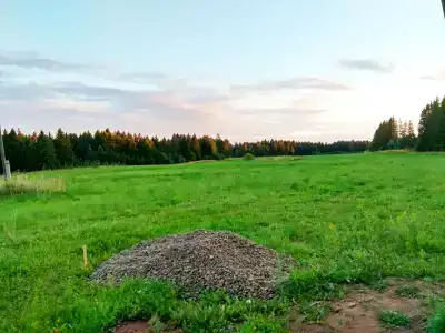 Дэри Гур - 8