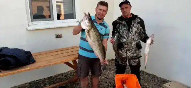 Левада - 43