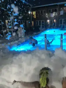 Власовых - 31